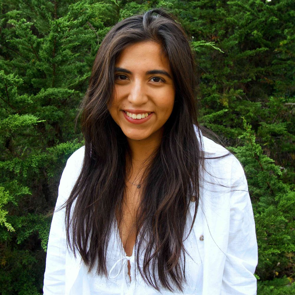 Alessandra Vidal Meza