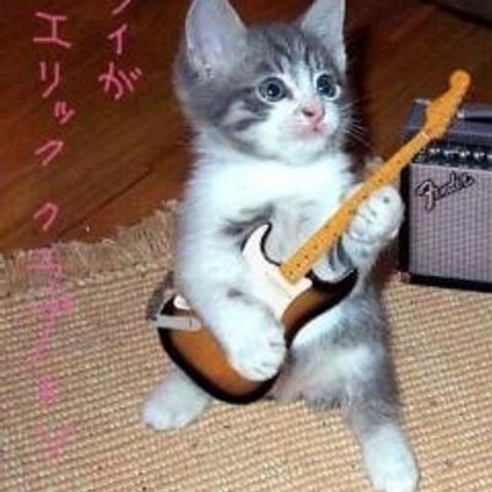 かいとん