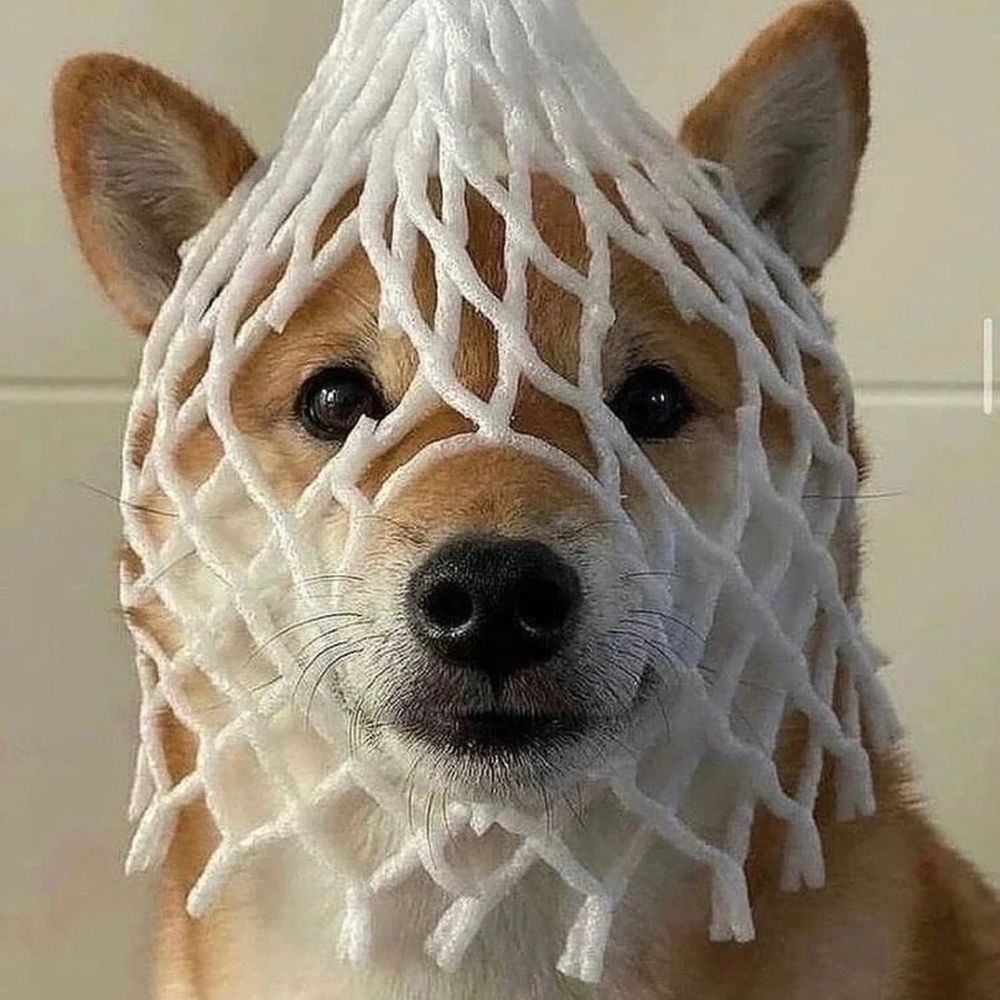 น้องผัก