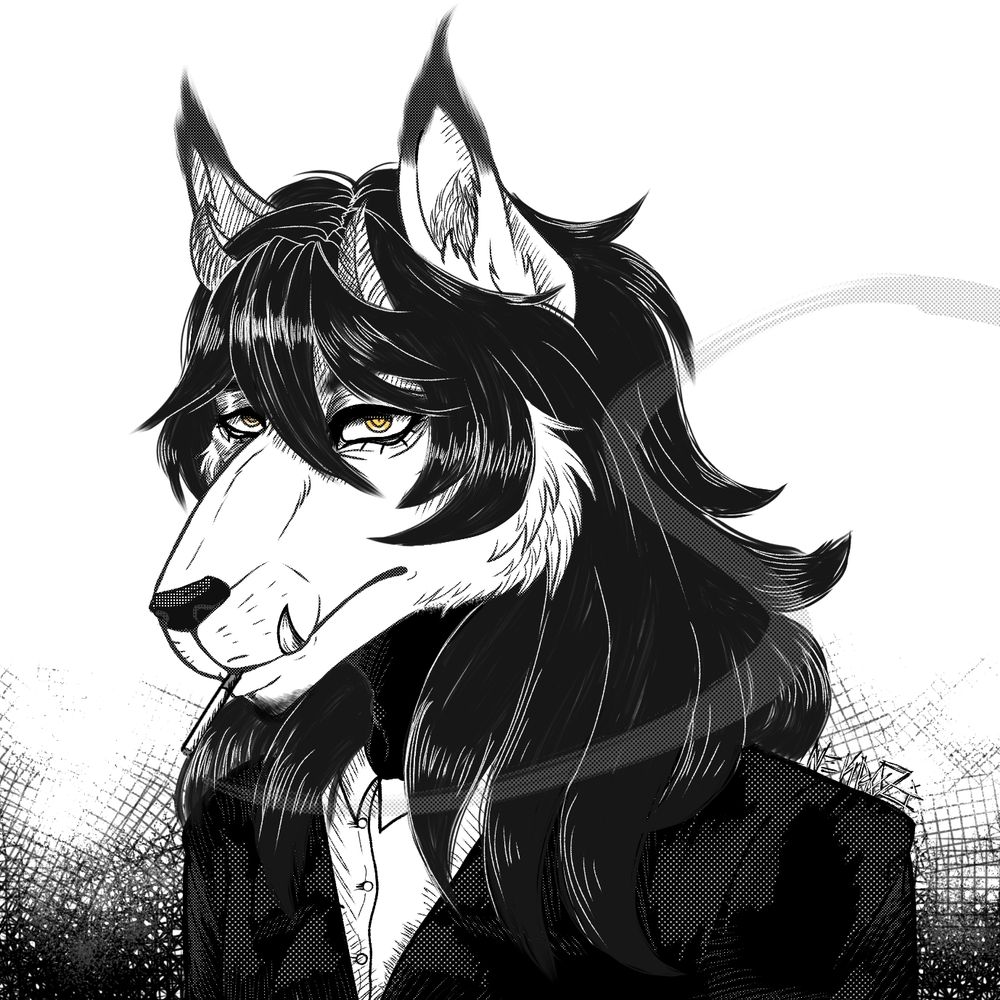   ☽ Ｎｅｋｒøｚｉ ☾  