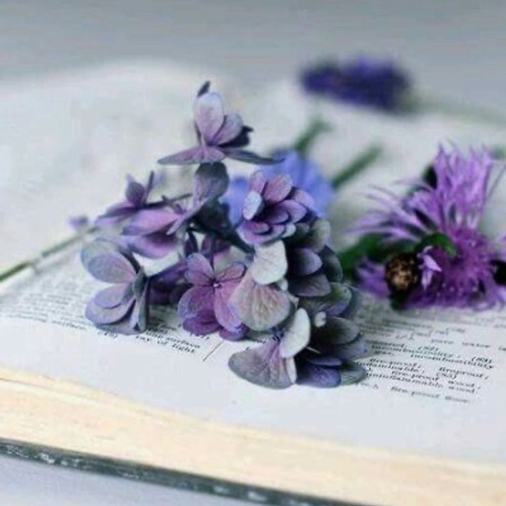 marilovesreading 