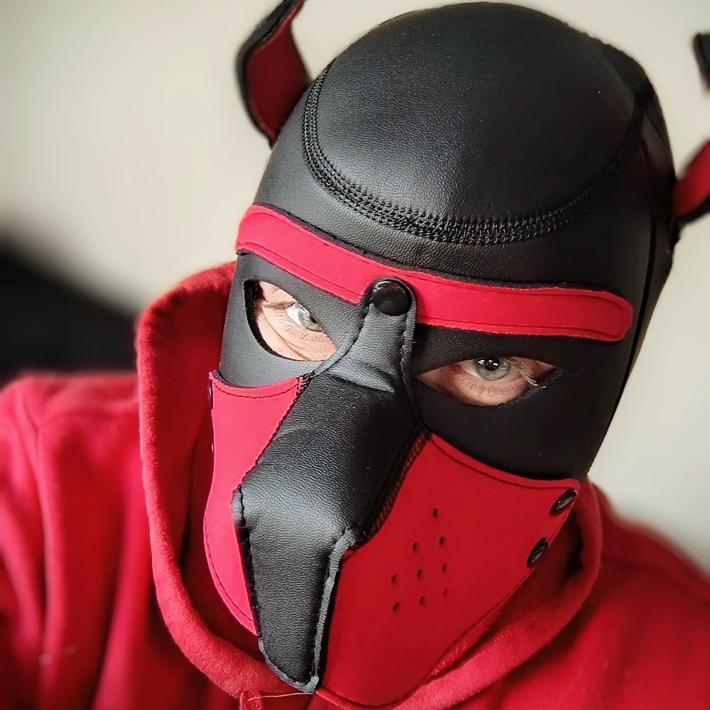 Pup Marty