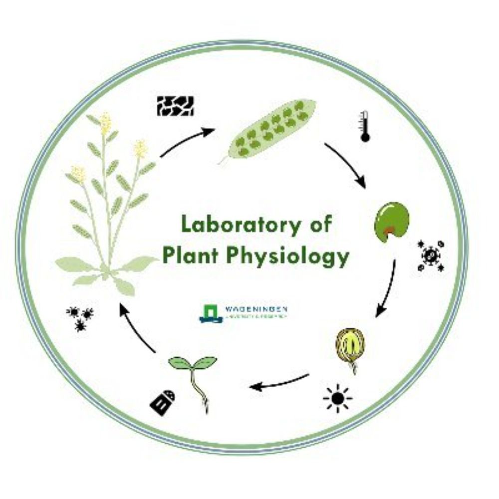 Laboratory of Plant Physiology, Wageningen U&R