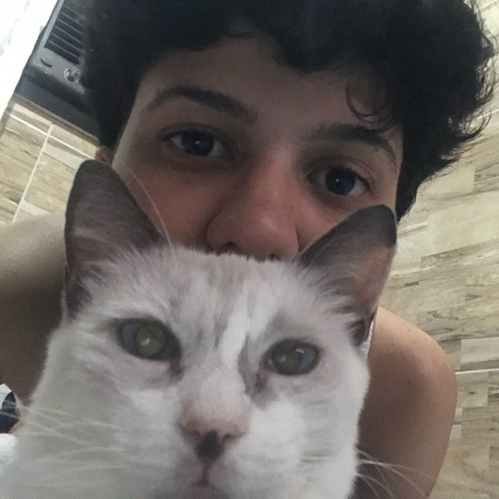 Susu