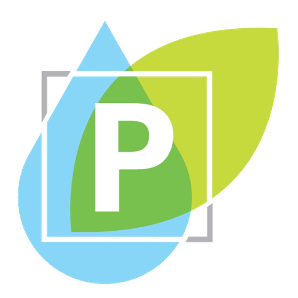 Science and Technologies for Phosphorus Sustainability (STEPS)