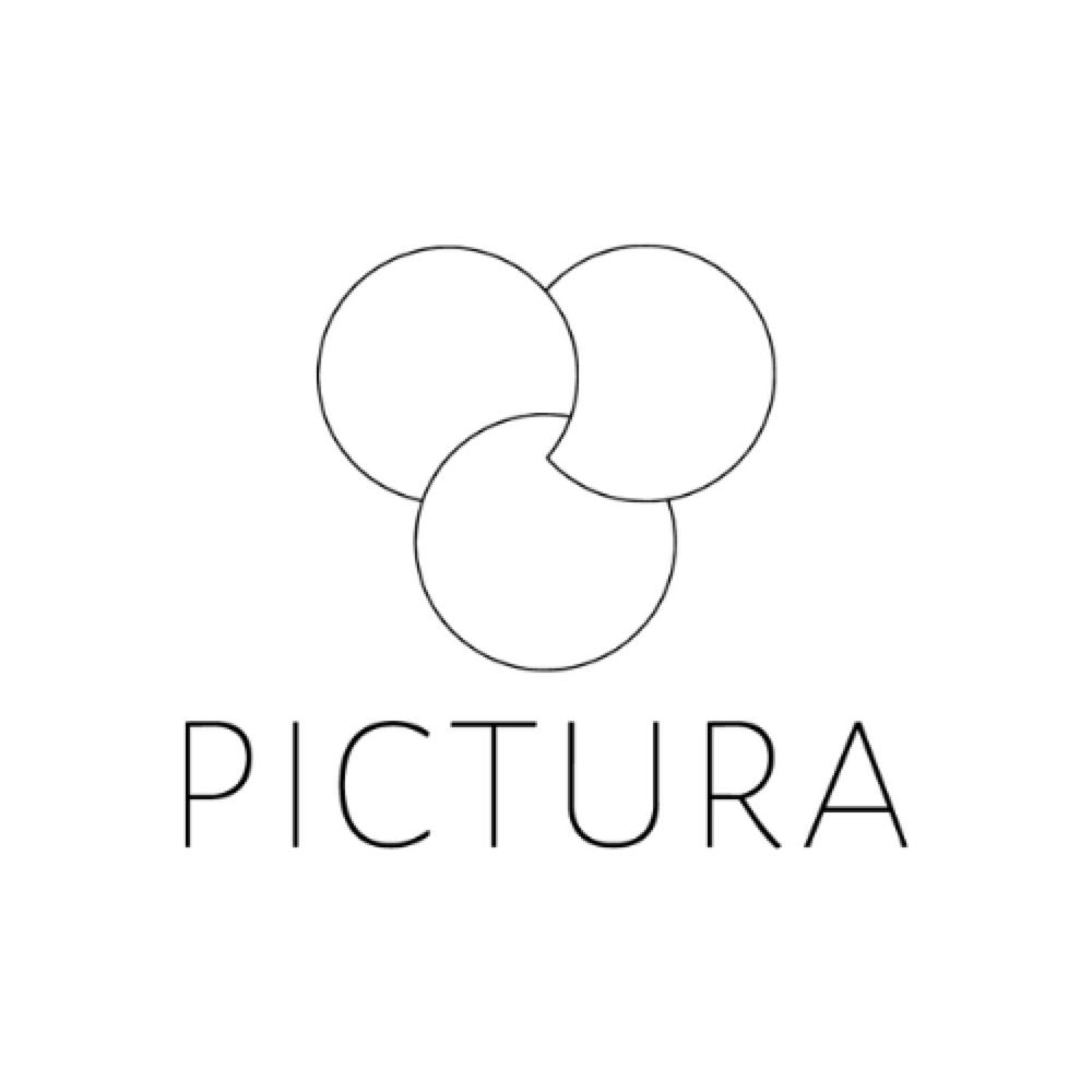 Pictura Journal