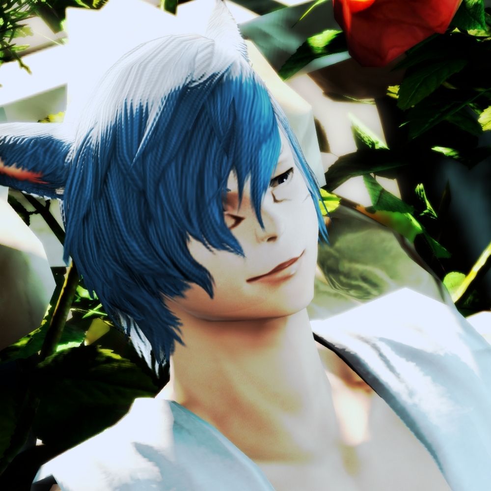 Lobelia