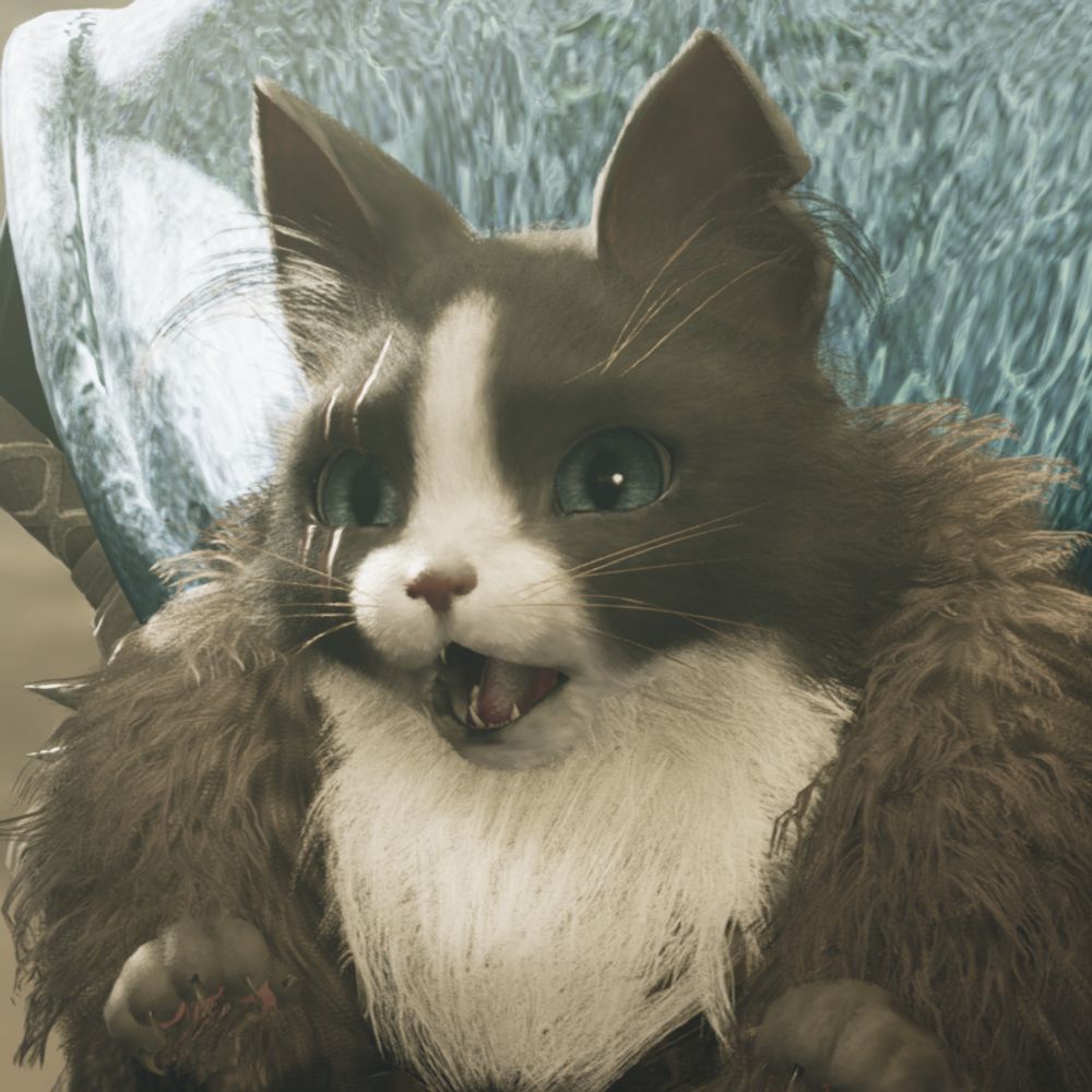 ʕ•̫͡•ʕ•̫͡•ʔ•̫͡•ʔ•̫͡•ʕ•̫͡•ʔ