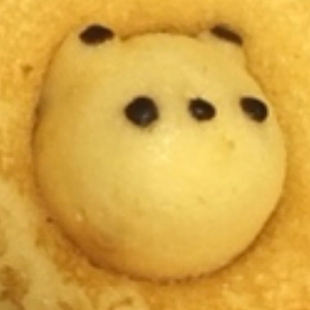 ネルア・コンティニュー