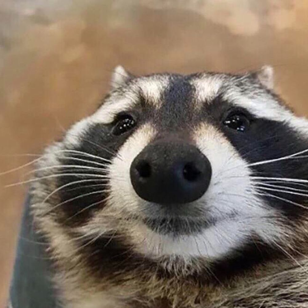 SillyMaster