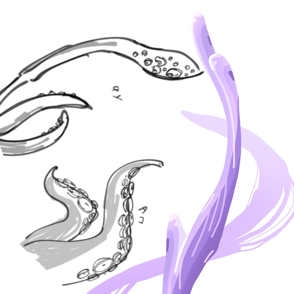 kohane-torigoe.bsky.social