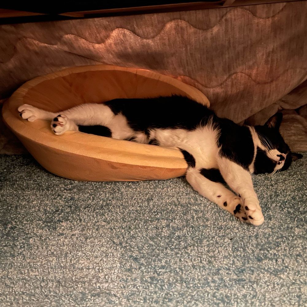 cot