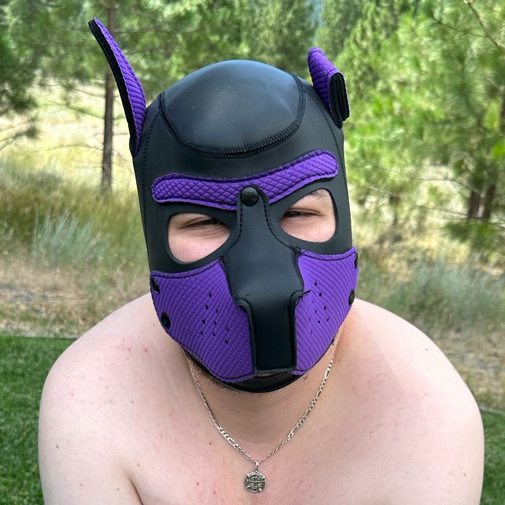 Pup Paws