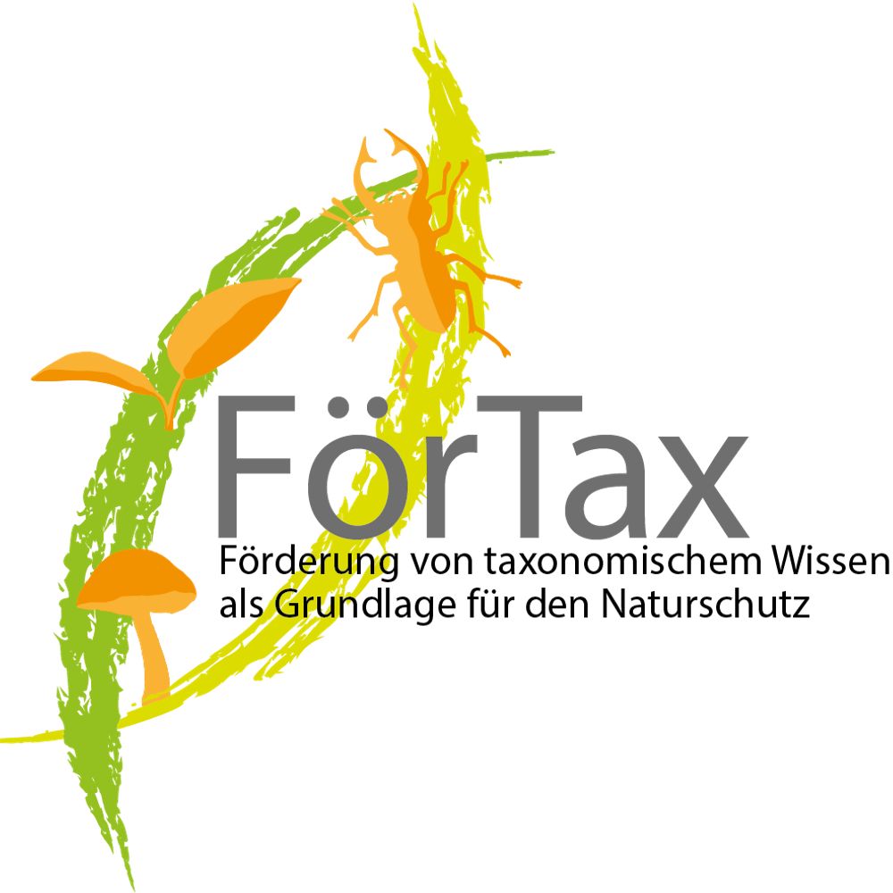 FörTax