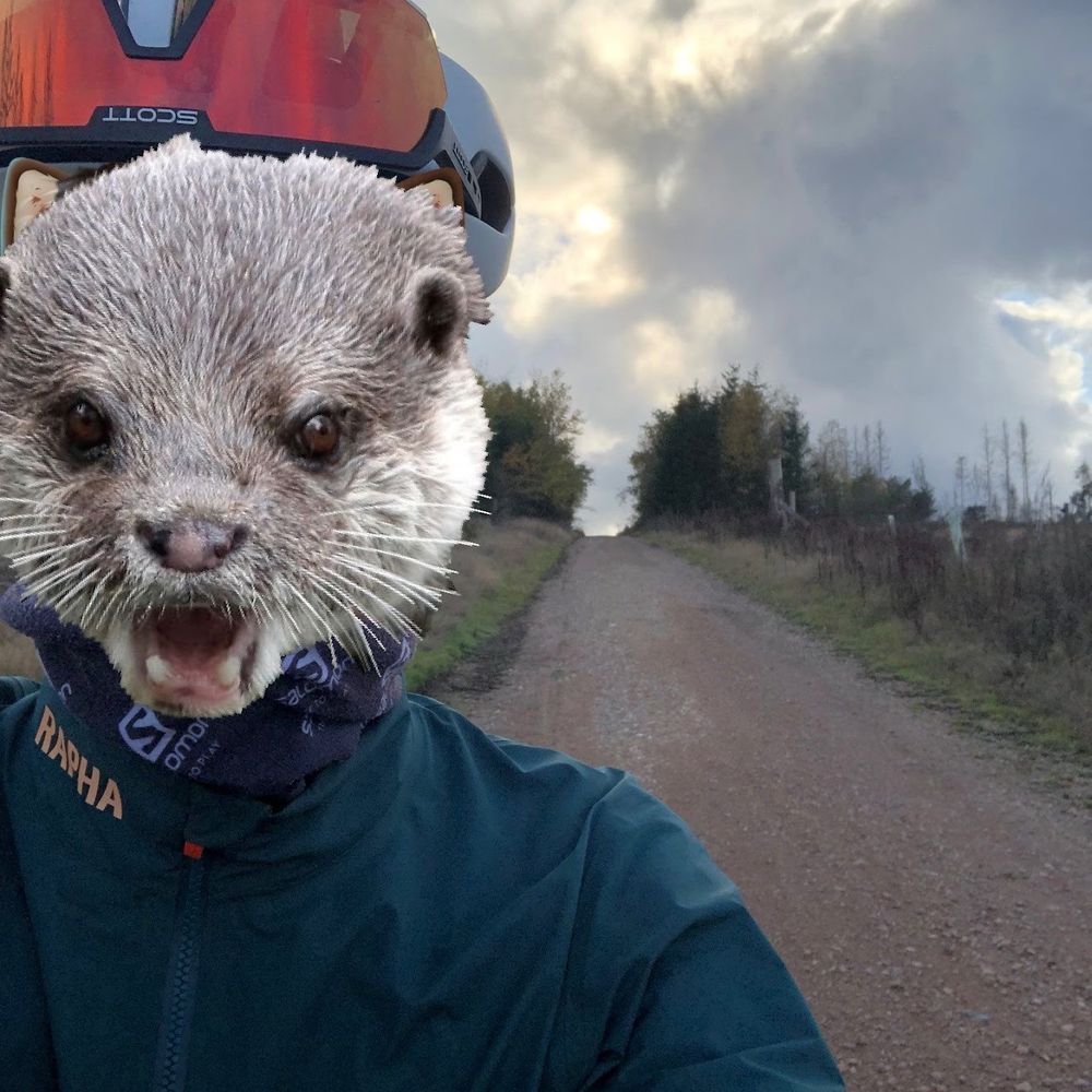 schOtter nick🦦