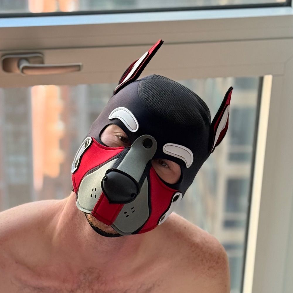 Pup Mavv
