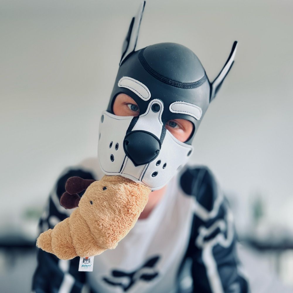 Pup.Scorpio