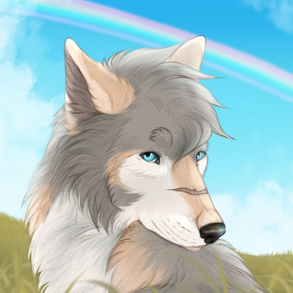 ☁️ Solt 🐺