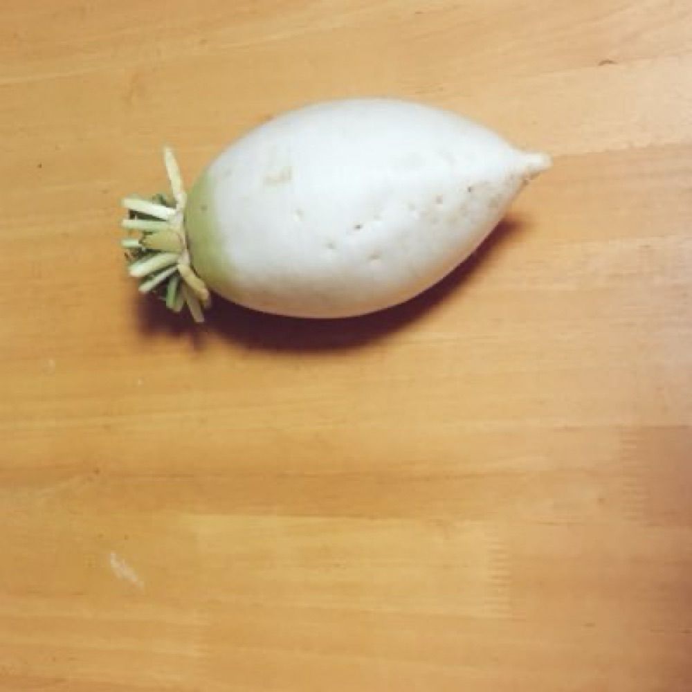 さくら卯