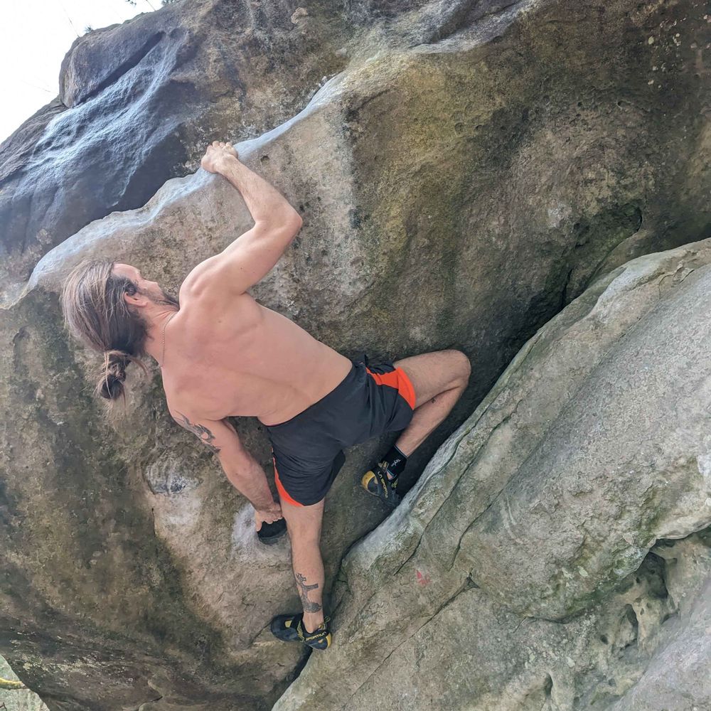 FeldBriegel