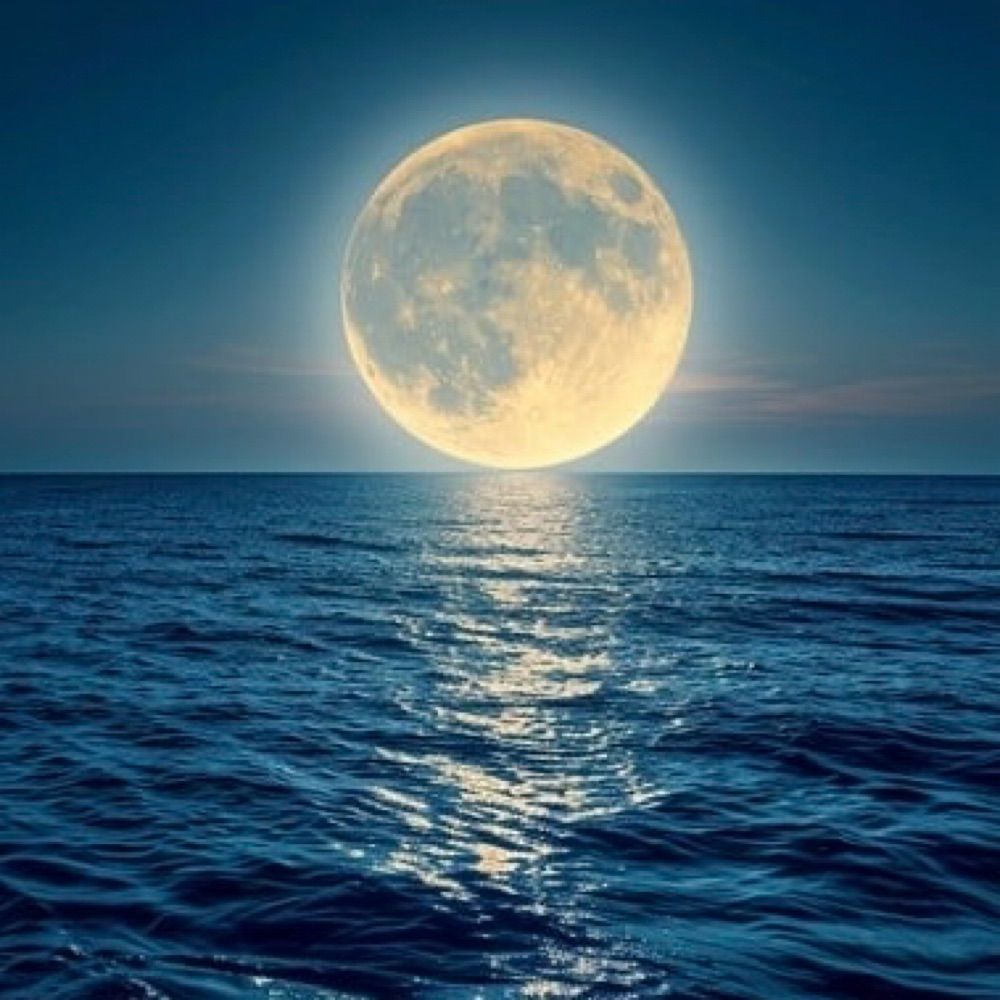 🆘🌖 Luna Sea 🌊🆘