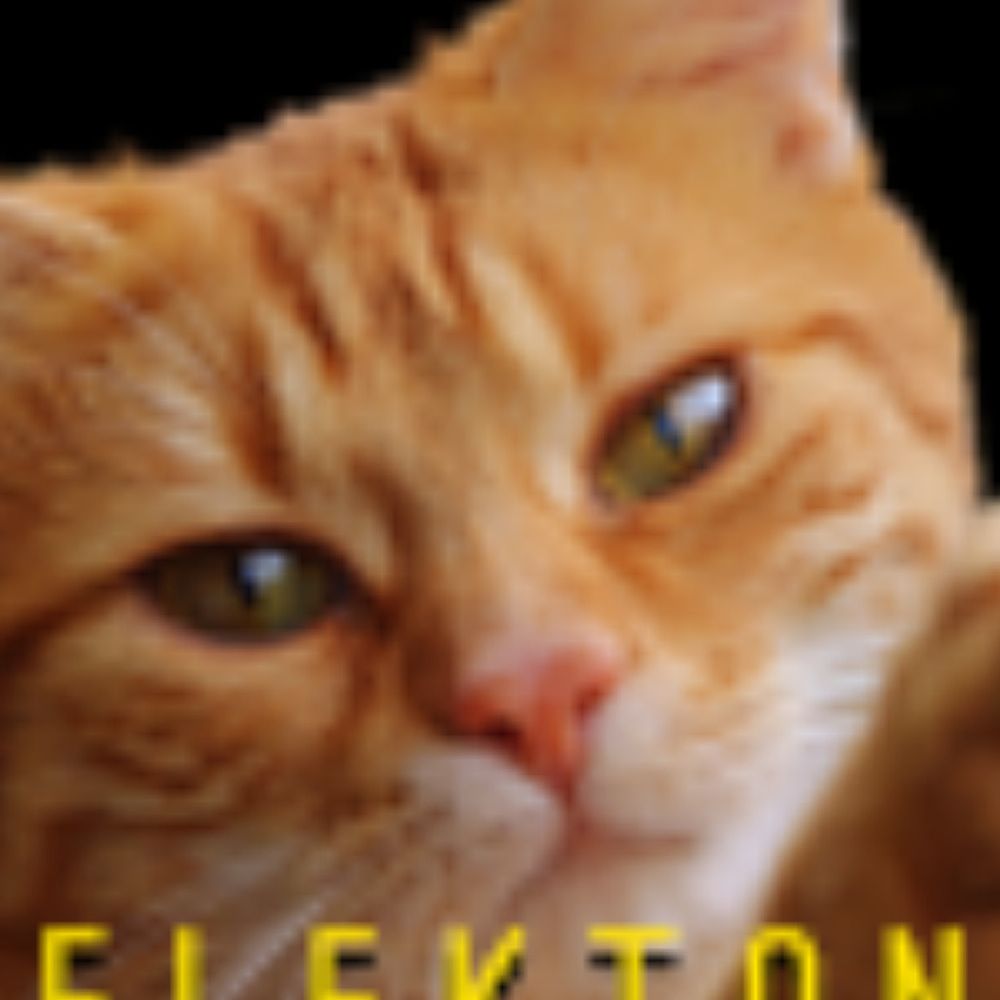 Elekton