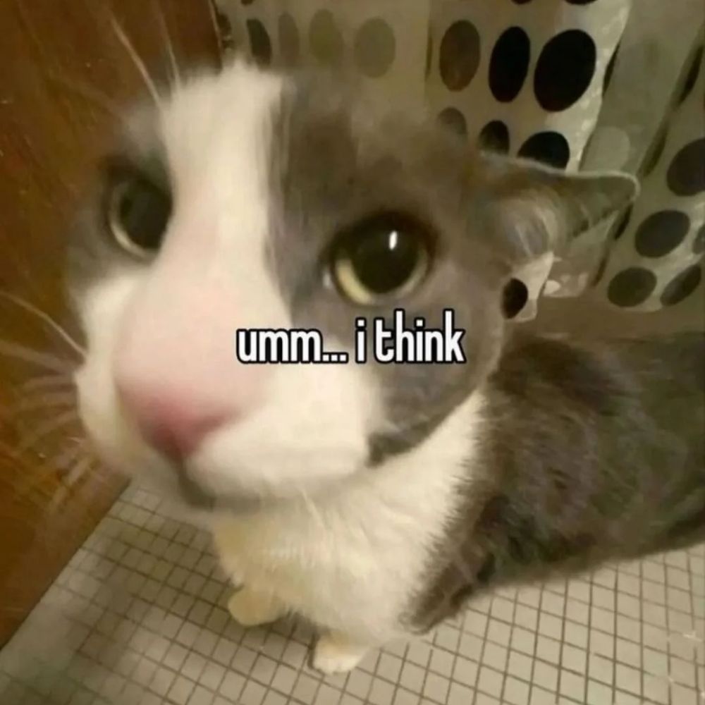 Qvn