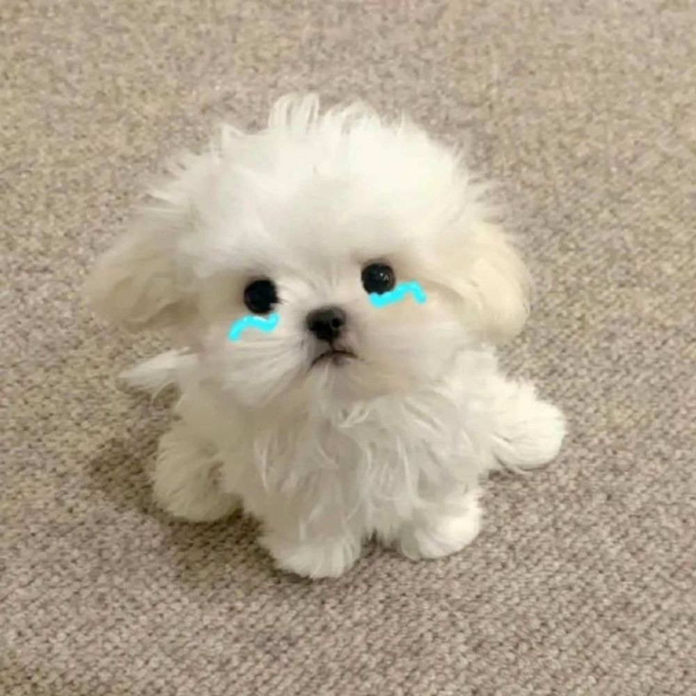 Broken meuk