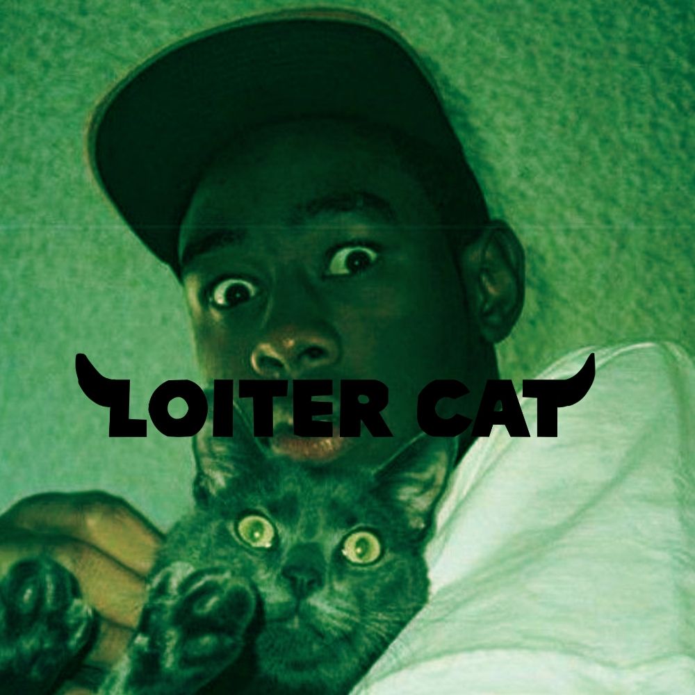 loiter cat🫀