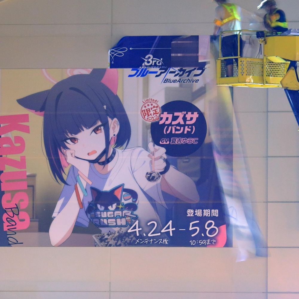 さくらえび