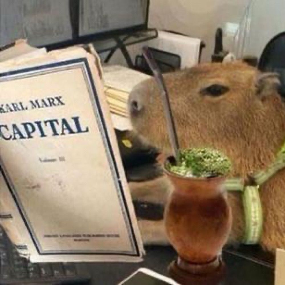 Based Capybara 🇵🇸🕊️
