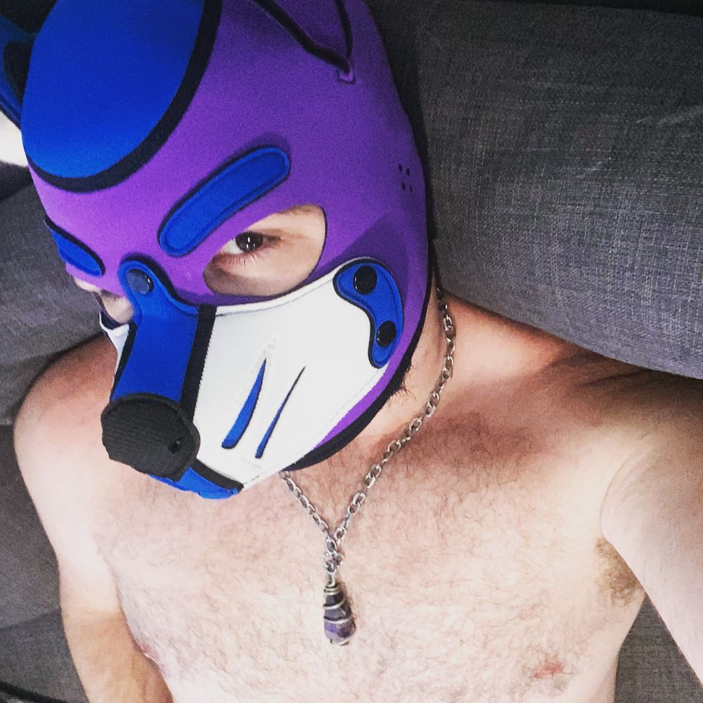 Alpha Pup Storm