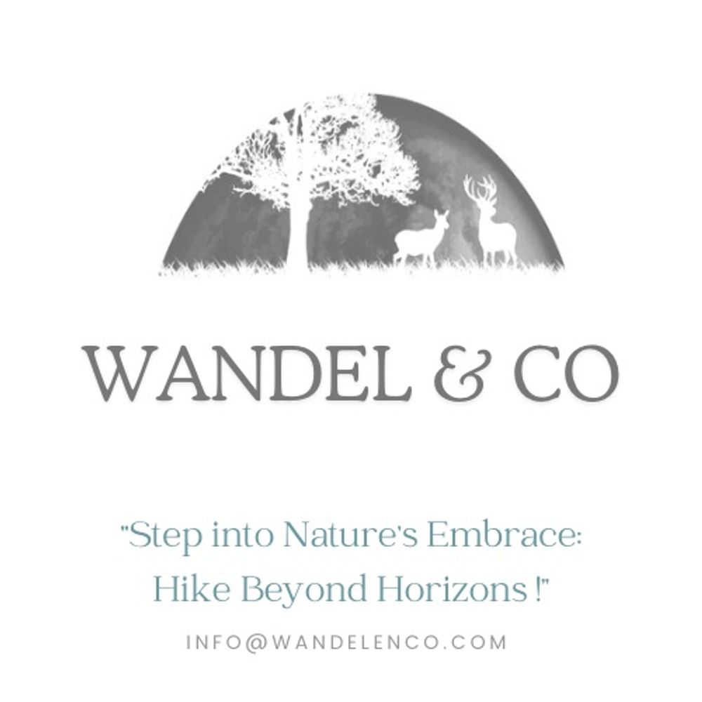 Wandel  & Co