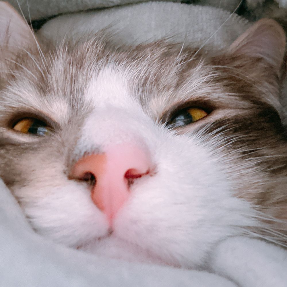 らいちゃん