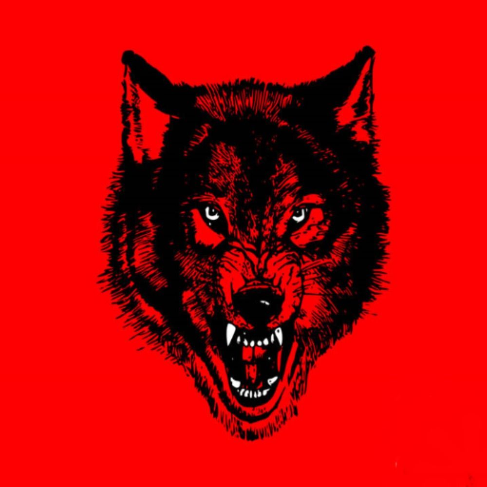 nWo Wolfpac 