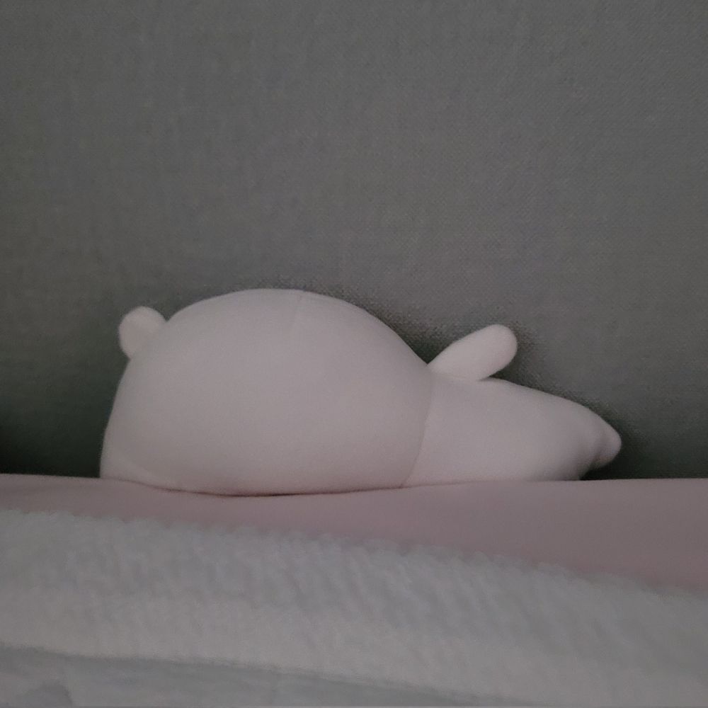 재무
