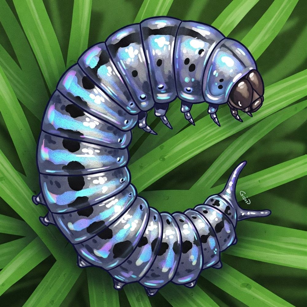 GrassWorm