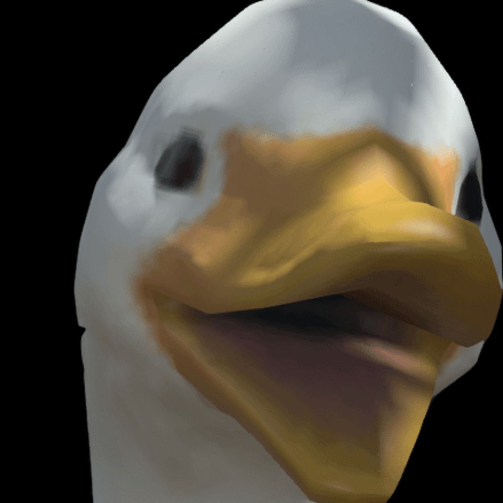 Ducky