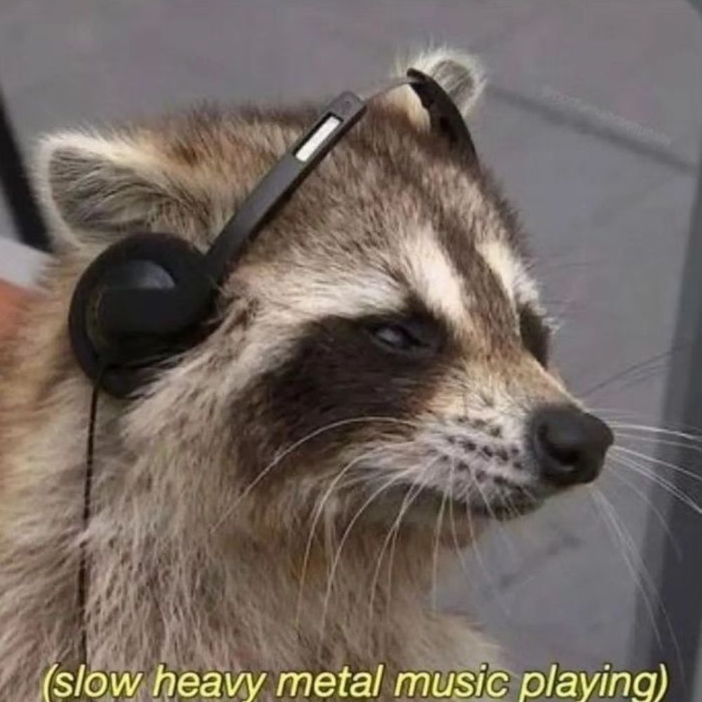 El Raccoon