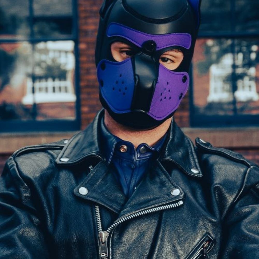 PupNova