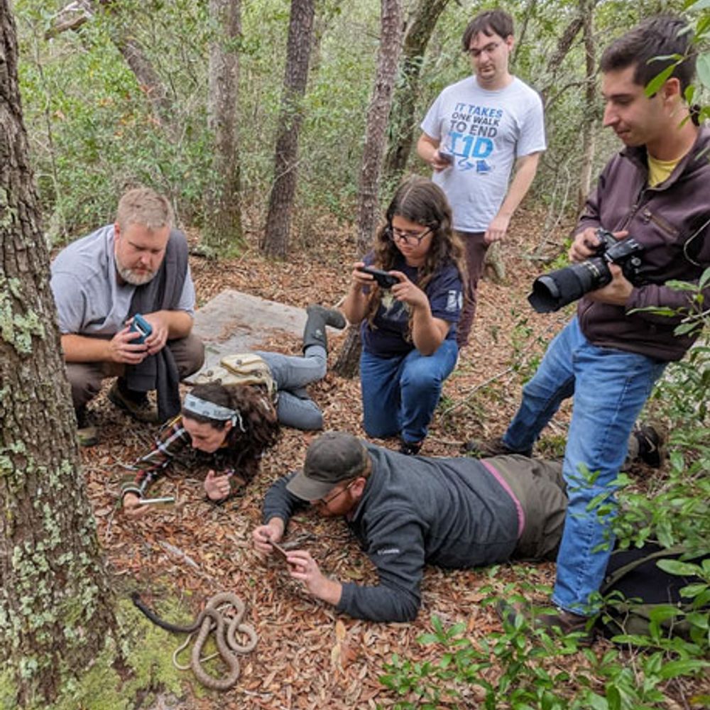 Snake Evolution and Biogeography [SEB]