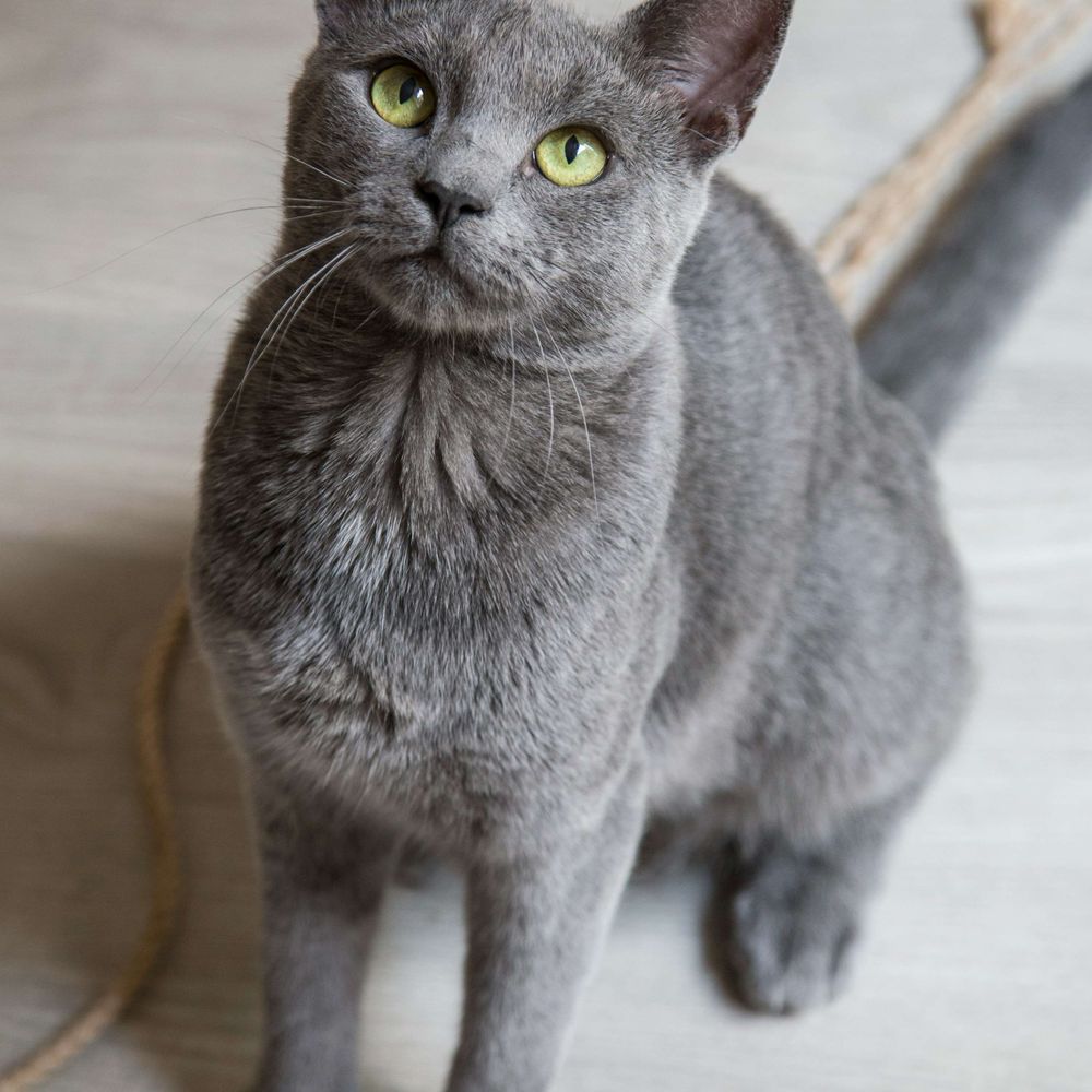 Esmeralda