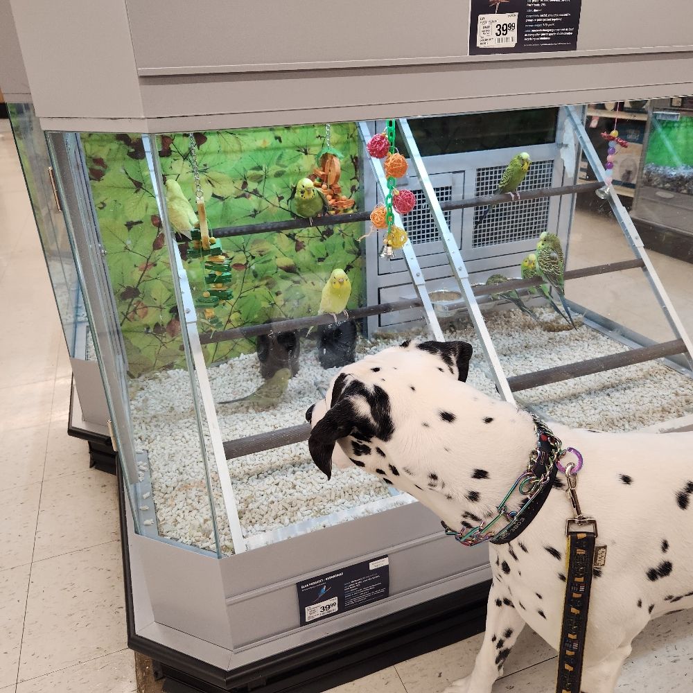 crystal-marie.bsky.social