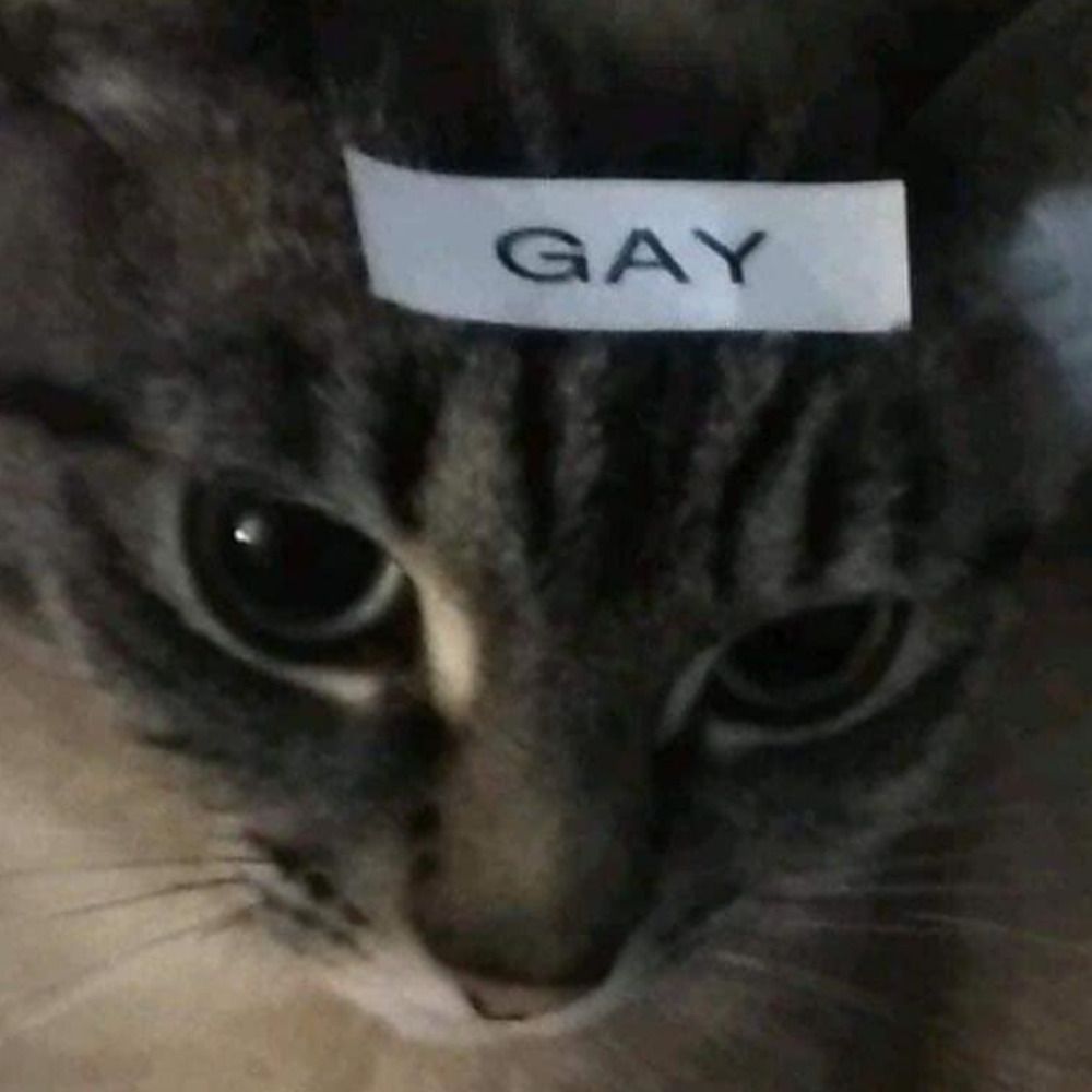 Rohan/Centimental