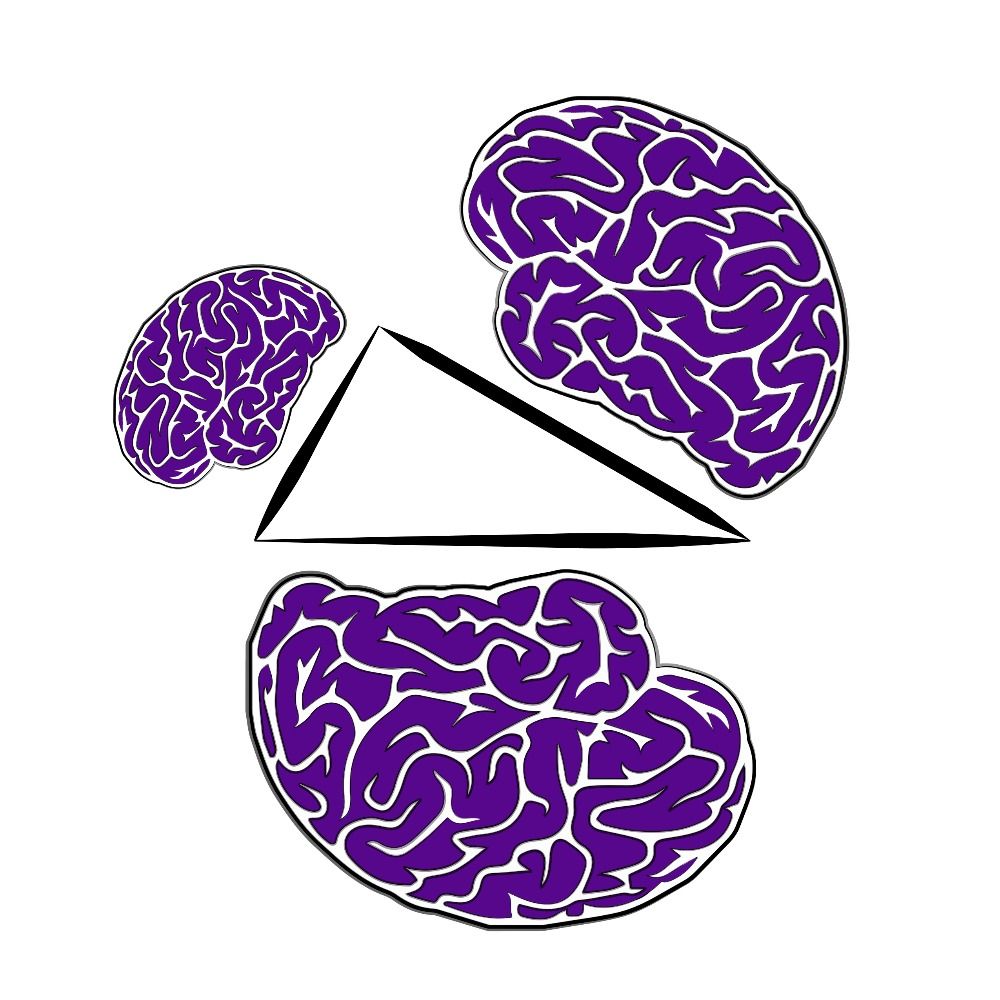 labdevelopingmind
