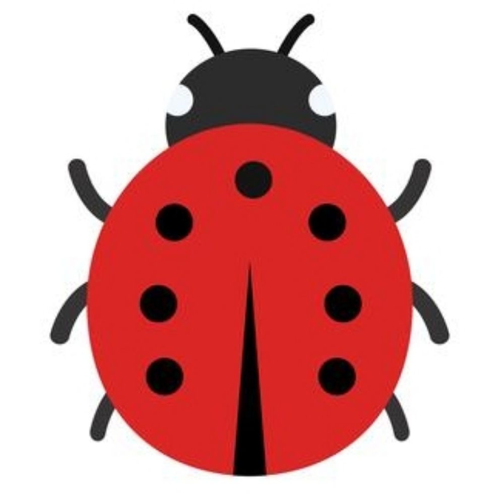 a bug