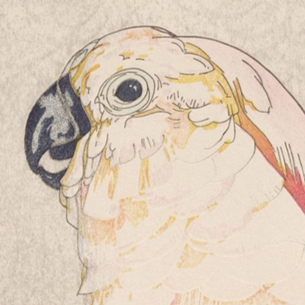 ソフ