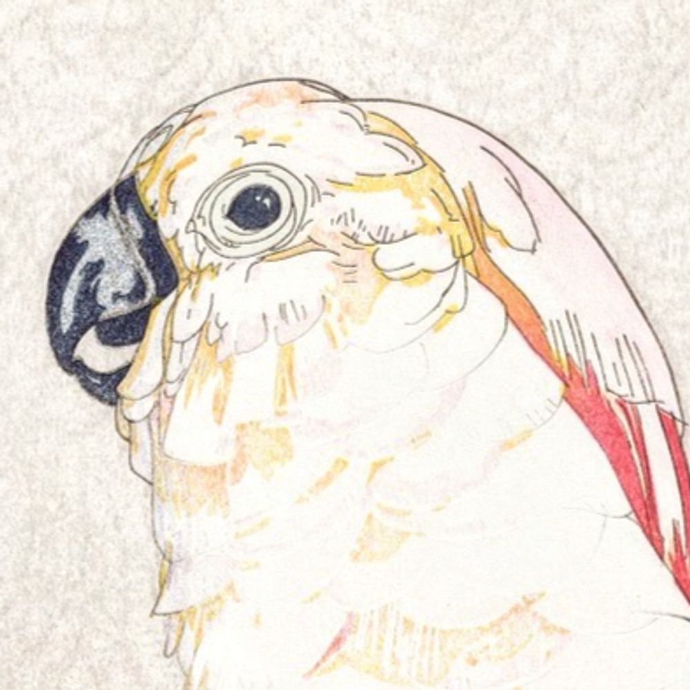 ソフ