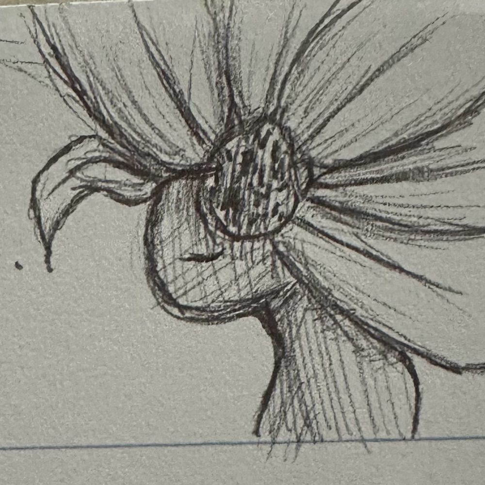 Wind