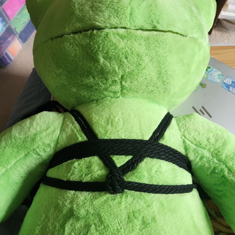 🐸 Charley the Frog